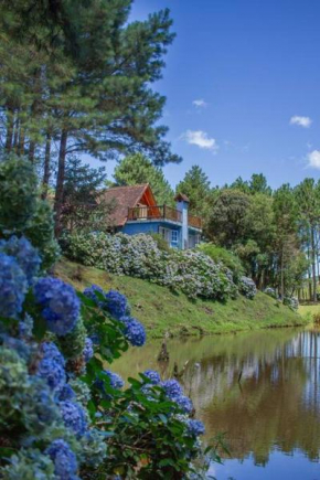 Casa de Campo - Alameda dos Pinus